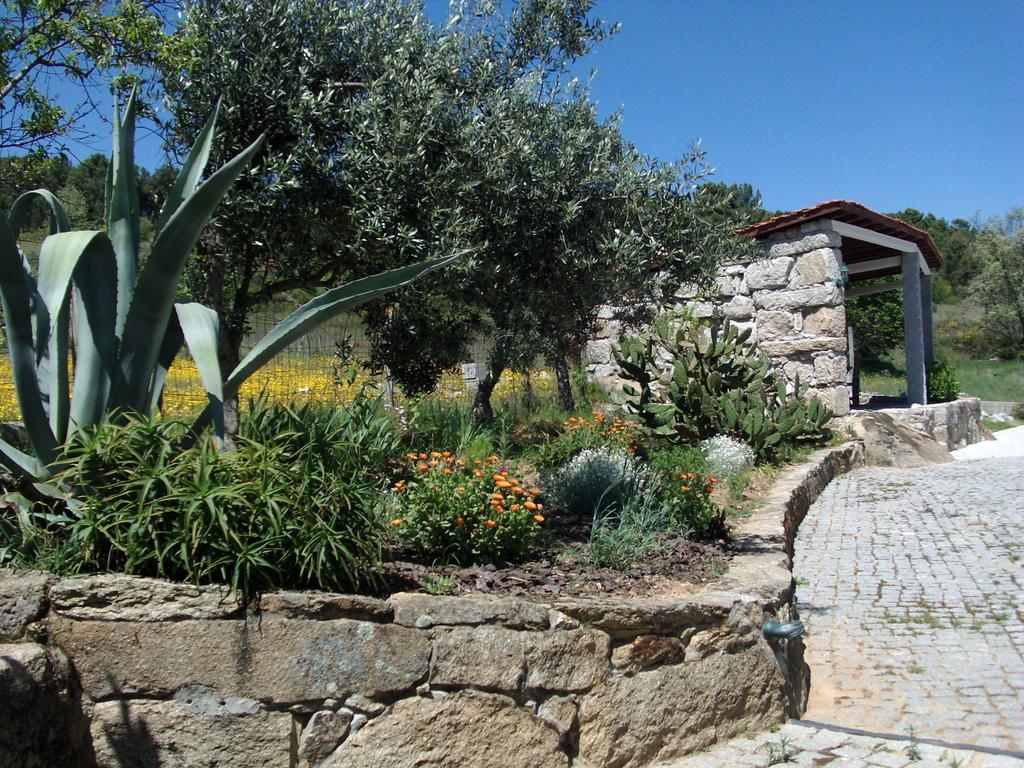 Quinta Do Mineiro-Serra Da Estrela Matanca ห้อง รูปภาพ